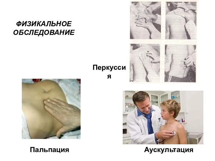 Перкуссия ФИЗИКАЛЬНОЕ ОБСЛЕДОВАНИЕ Пальпация Аускультация