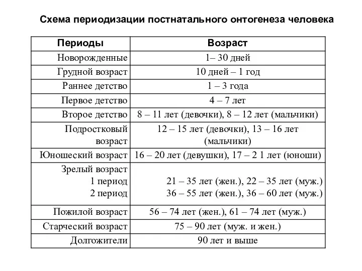 Схема периодизации постнатального онтогенеза человека