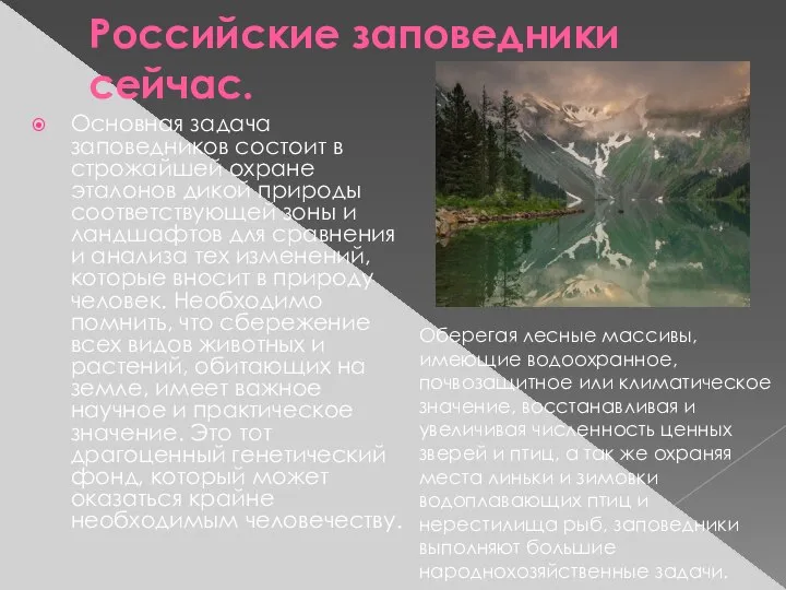 Российские заповедники сейчас. Основная задача заповедников состоит в строжайшей охране эталонов дикой