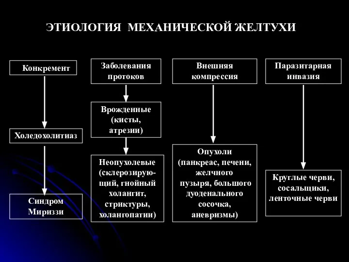 Конкремент Заболевания протоков Внешняя компрессия Паразитарная инвазия Синдром Мириззи Врожденные (кисты, атрезии)