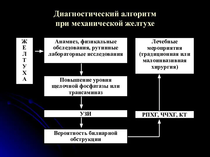 Диагностический алгоритм при механической желтухе Ж Е Л Т У Х А