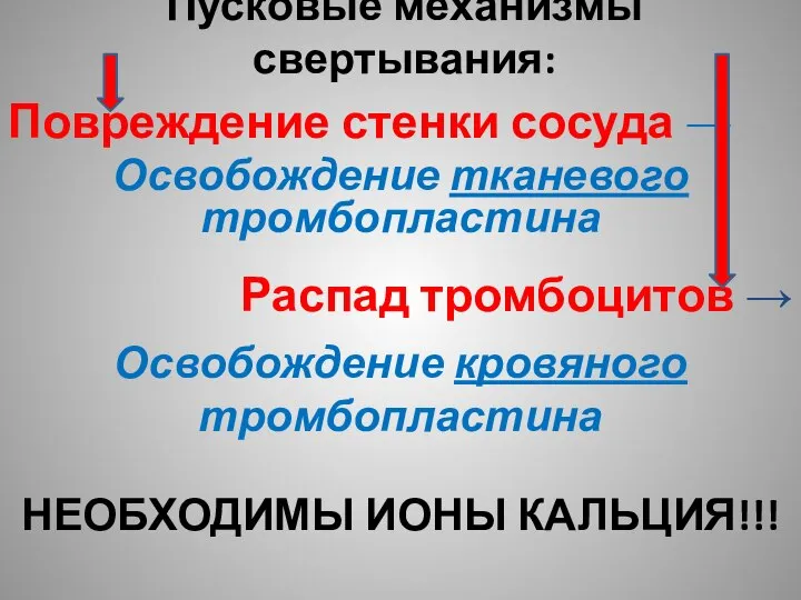 Пусковые механизмы свертывания: Повреждение стенки сосуда → Освобождение тканевого тромбопластина Распад тромбоцитов