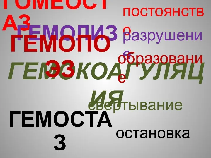 ГЕМОКОАГУЛЯЦИЯ ГОМЕОСТАЗ ГЕМОЛИЗ ГЕМОПОЭЗ ГЕМОСТАЗ постоянство разрушение образование свертывание остановка