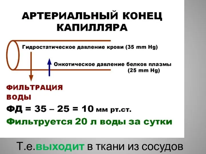 Т.е.выходит в ткани из сосудов