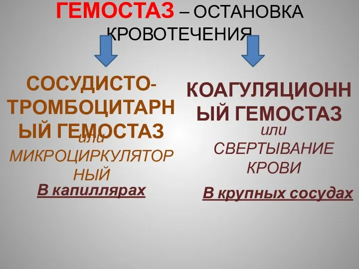 ГЕМОСТАЗ – ОСТАНОВКА КРОВОТЕЧЕНИЯ СОСУДИСТО-ТРОМБОЦИТАРНЫЙ ГЕМОСТАЗ КОАГУЛЯЦИОННЫЙ ГЕМОСТАЗ или МИКРОЦИРКУЛЯТОРНЫЙ или СВЕРТЫВАНИЕ