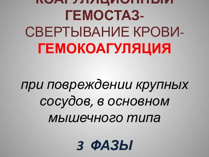 КОАГУЛЯЦИОННЫЙ ГЕМОСТАЗ- СВЕРТЫВАНИЕ КРОВИ- ГЕМОКОАГУЛЯЦИЯ при повреждении крупных сосудов, в основном мышечного типа 3 ФАЗЫ