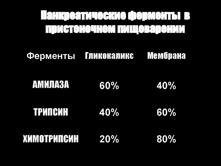 Панкреатические ферменты в пристеночном пищеварении