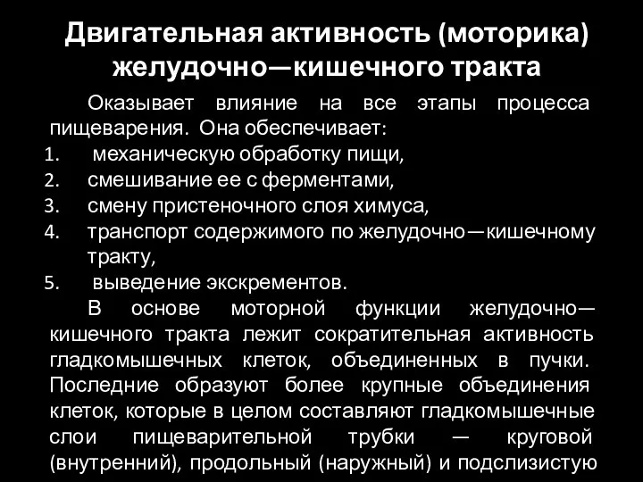 Оказывает влияние на все этапы процесса пищеварения. Она обеспечивает: механическую обработку пищи,