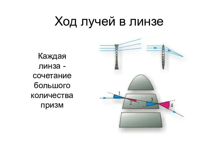 Ход лучей в линзе Каждая линза - сочетание большого количества призм