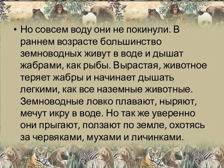 Но совсем воду они не покинули. В раннем возрасте большинство земноводных живут