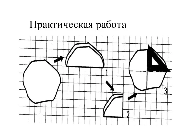 Практическая работа