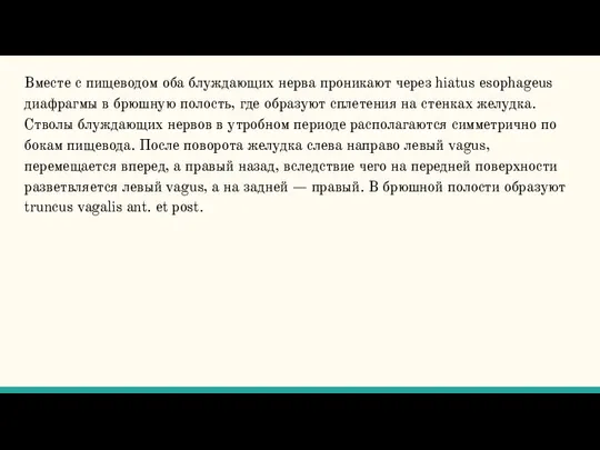 Вместе с пищеводом оба блуждающих нерва проникают через hiatus esophageus диафрагмы в