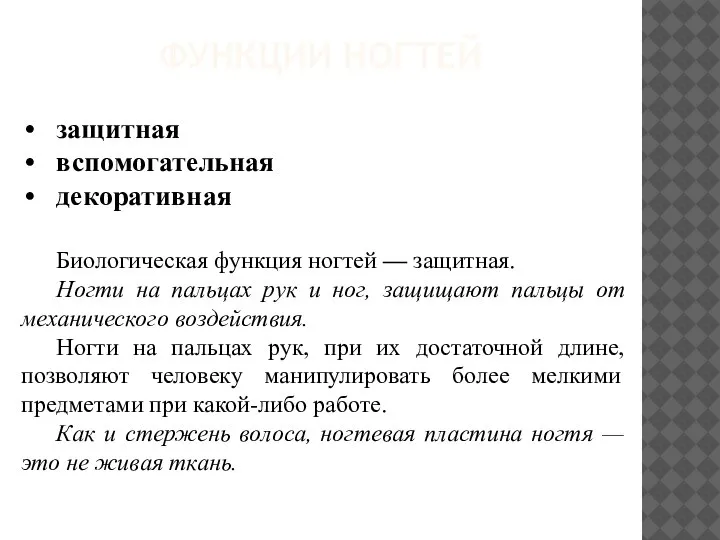 защитная вспомогательная декоративная Биологическая функция ногтей — защитная. Ногти на пальцах рук