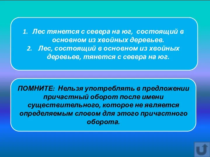 Лес тянется с севера на юг, состоящий в основном из хвойных деревьев.