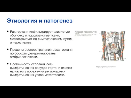 Этиология и патогенез Рак гортани инфильтрирует слизистую оболочку и подслизистые ткани, метастазирует