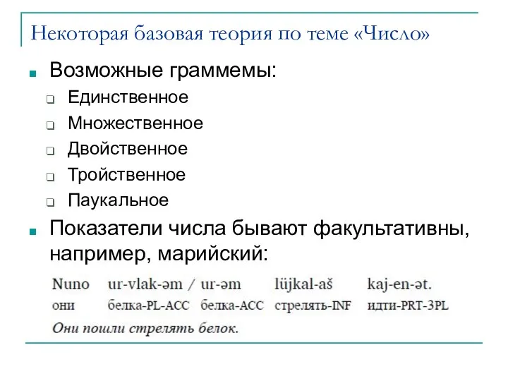 Некоторая базовая теория по теме «Число» Возможные граммемы: Единственное Множественное Двойственное Тройственное