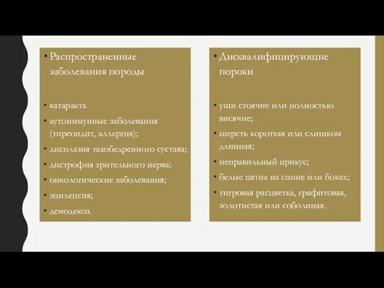 Распространенные заболевания породы катаракта аутоиммунные заболевания (тиреоидит, аллергия); дисплазия тазобедренного сустава; дистрофия