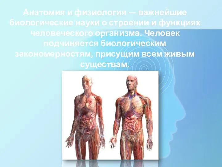 Анатомия и физиология — важнейшие биологические науки о строении и функциях человеческого