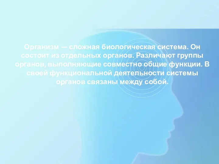 Организм — сложная биологическая система. Он состоит из отдельных органов. Различают группы