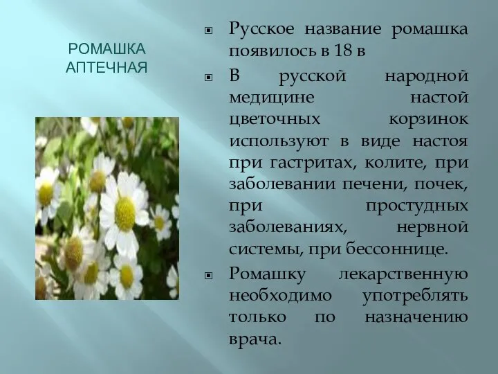 РОМАШКА АПТЕЧНАЯ Русское название ромашка появилось в 18 в В русской народной