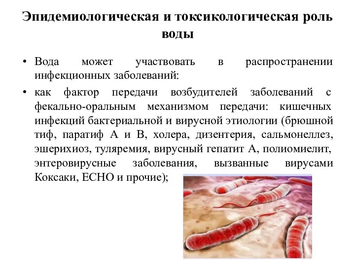 Эпидемиологическая и токсикологическая роль воды Вода может участвовать в распространении инфекционных заболеваний: