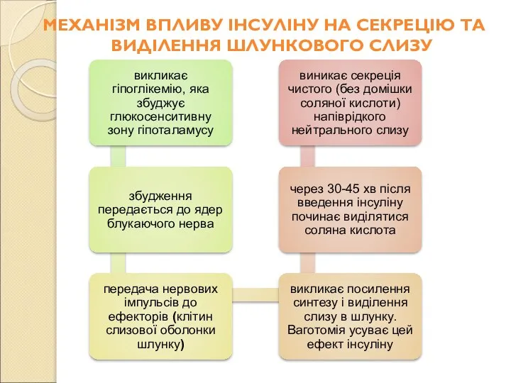 МЕХАНІЗМ ВПЛИВУ ІНСУЛІНУ НА СЕКРЕЦІЮ ТА ВИДІЛЕННЯ ШЛУНКОВОГО СЛИЗУ