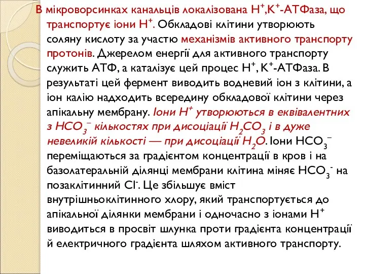 В мікроворсинках канальців локалізована H+,K+-АТФаза, що транспортує іони Н+. Обкладові клітини утворюють