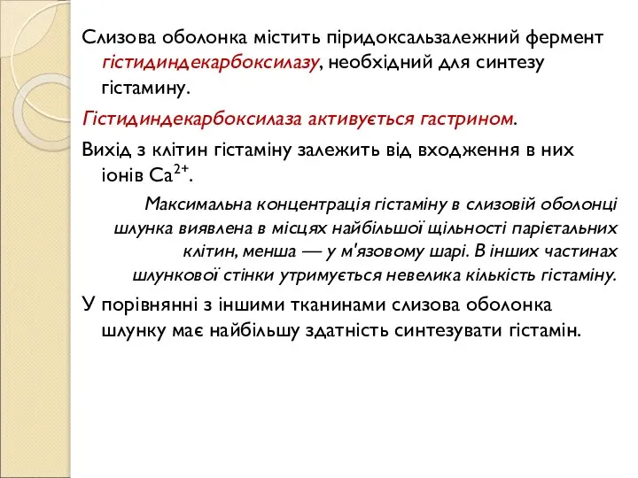 Слизова оболонка містить піридоксальзалежний фермент гістидиндекарбоксилазу, необхідний для синтезу гістамину. Гістидиндекарбоксилаза активується