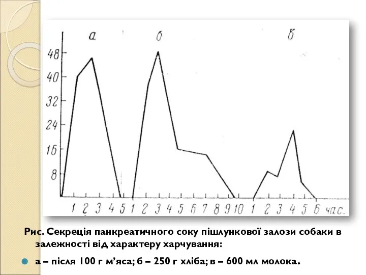 Рис. Секреція панкреатичного соку пішлункової залози собаки в залежності від характеру харчування: