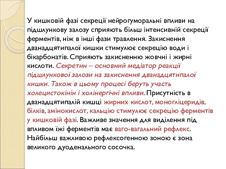 У кишковій фазі секреції нейрогуморальні впливи на підшлункову залозу сприяють більш інтенсивній