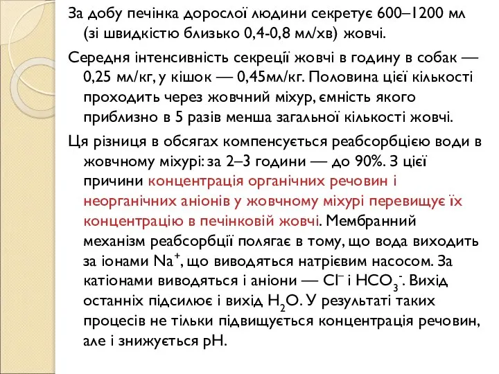 За добу печінка дорослої людини секретує 600–1200 мл (зі швидкістю близько 0,4-0,8