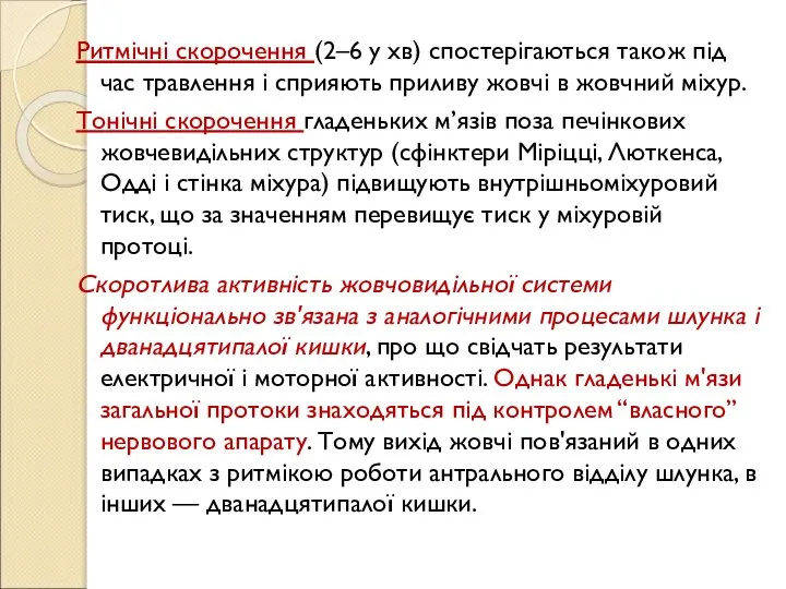 Ритмічні скорочення (2–6 у хв) спостерігаються також під час травлення і сприяють