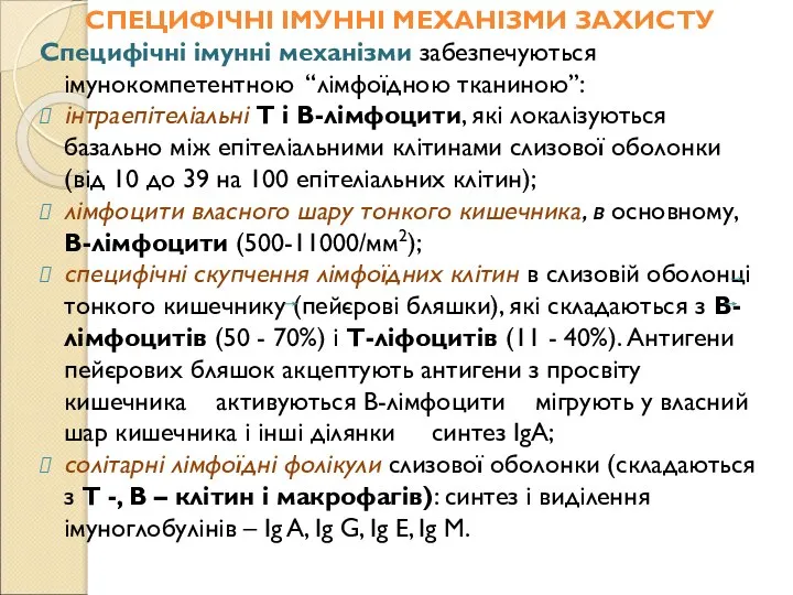 СПЕЦИФІЧНІ ІМУННІ МЕХАНІЗМИ ЗАХИСТУ Специфічні імунні механізми забезпечуються імунокомпетентною “лімфоїдною тканиною”: інтраепітеліальні