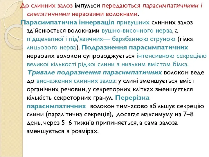 До слинних залоз імпульси передаються парасимпатичними і симпатичними нервовими волокнами. Парасимпатична іннервація