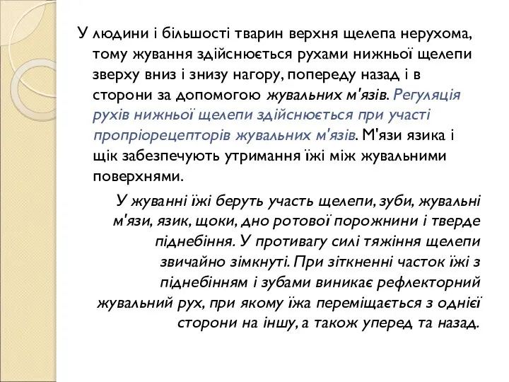 У людини і більшості тварин верхня щелепа нерухома, тому жування здійснюється рухами