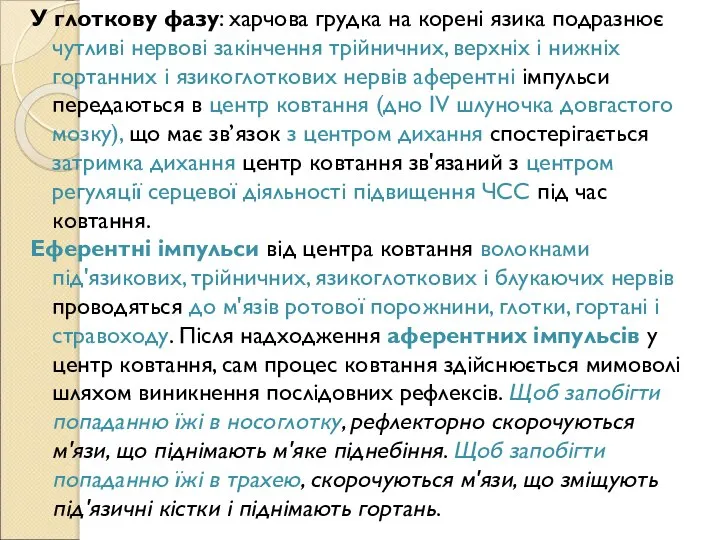 У глоткову фазу: харчова грудка на корені язика подразнює чутливі нервові закінчення