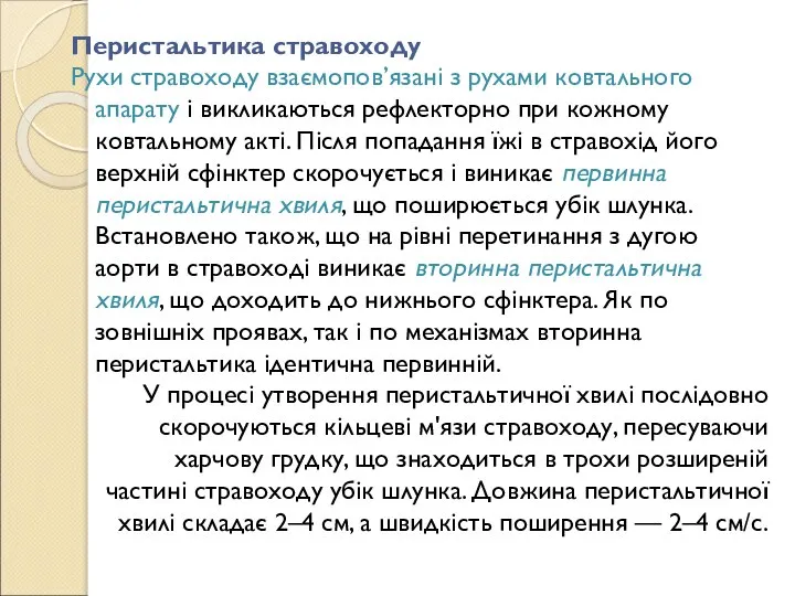 Перистальтика стравоходу Рухи стравоходу взаємопов’язані з рухами ковтального апарату і викликаються рефлекторно