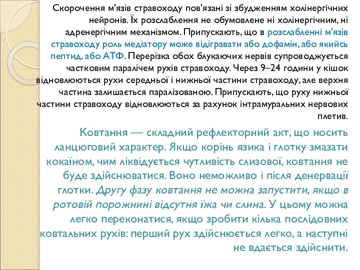 Скорочення м'язів стравоходу пов'язані зі збудженням холінергічних нейронів. Їх розслаблення не обумовлене