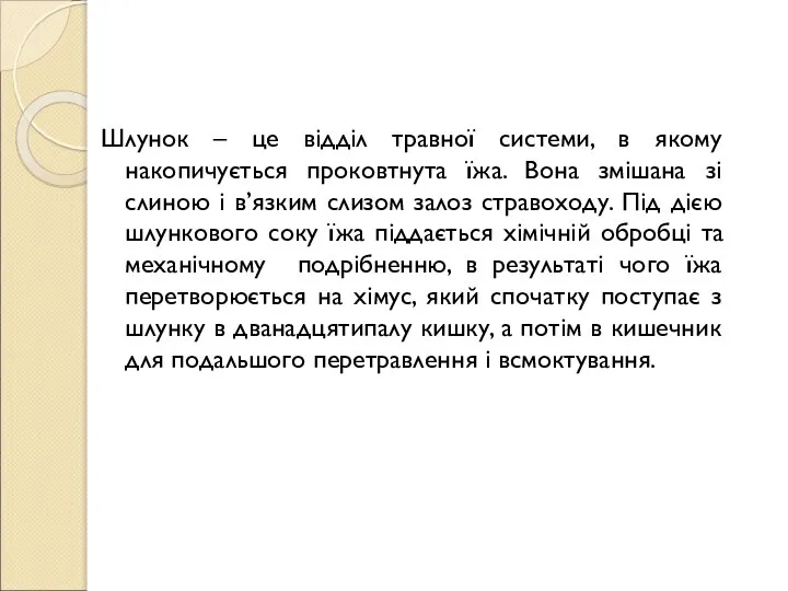 Шлунок – це відділ травної системи, в якому накопичується проковтнута їжа. Вона