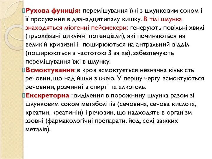 Рухова функція: перемішування їжі з шлунковим соком і її просування в дванадцятипалу