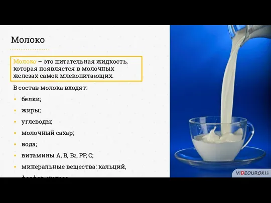 Молоко Молоко – это питательная жидкость, которая появляется в молочных железах самок