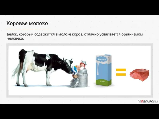 Белок, который содержится в молоке коров, отлично усваивается организмом человека. Коровье молоко =