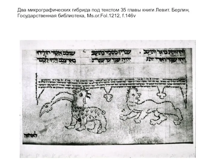 Два микрографических гибрида под текстом 35 главы книги Левит. Берлин, Государственная библиотека, Ms.or.Fol.1212, f.146v