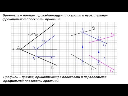 Фронталь – прямая, принадлежащая плоскости и параллельная фронтальной плоскости проекций. Профиль –