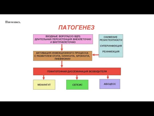 Патогенез.