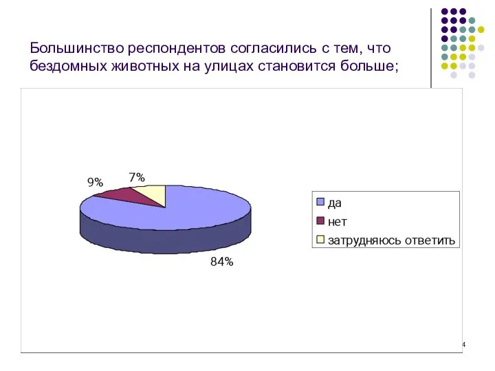 Большинство респондентов согласились с тем, что бездомных животных на улицах становится больше;