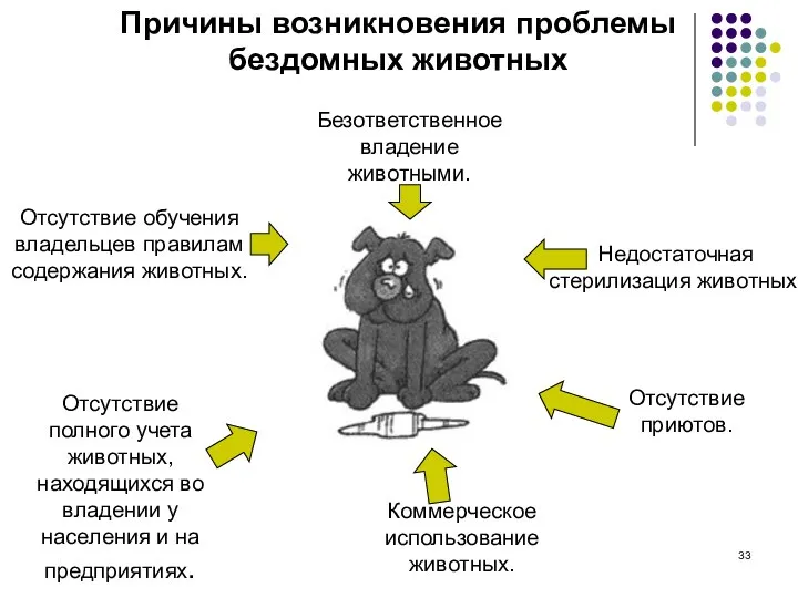 Безответственное владение животными. Отсутствие обучения владельцев правилам содержания животных. Недостаточная стерилизация животных.