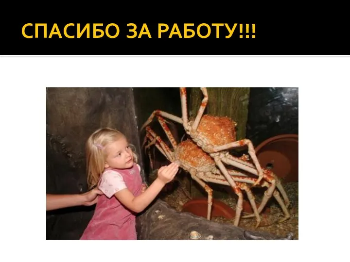 СПАСИБО ЗА РАБОТУ!!!