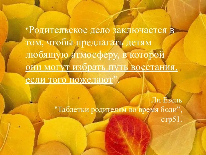 "Родительское дело заключается в том, чтобы предлагать детям любящую атмосферу, в которой