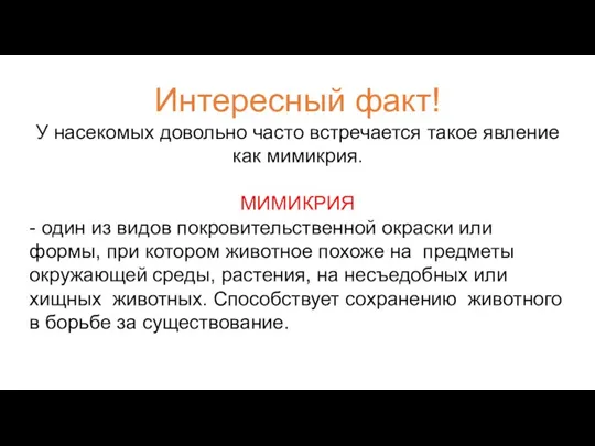 Интересный факт! У насекомых довольно часто встречается такое явление как мимикрия. МИМИКРИЯ